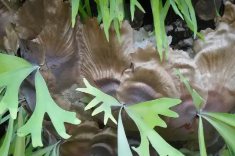 CF Foto Impression 10