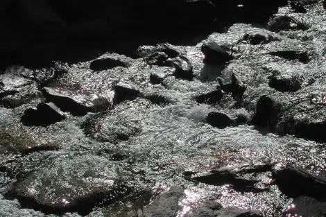 CF Foto Impression 111