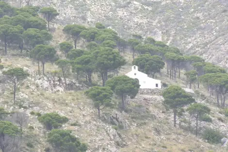 CF Foto Impression 123