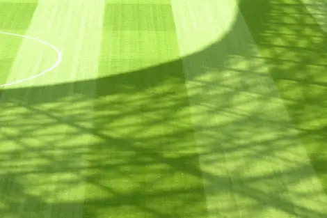 CF Foto Impression 126