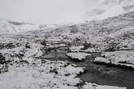 CF Foto Impression 145