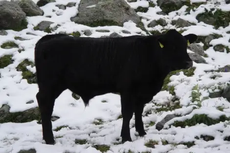 CF Foto Impression 146