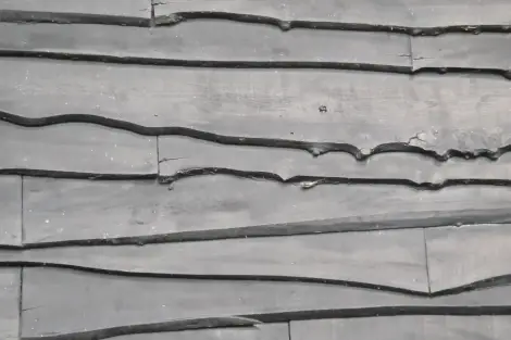 CF Foto Impression 147