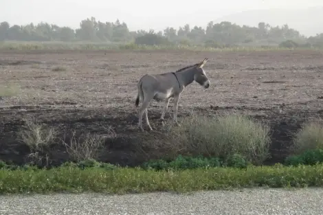 CF Foto Impression 182