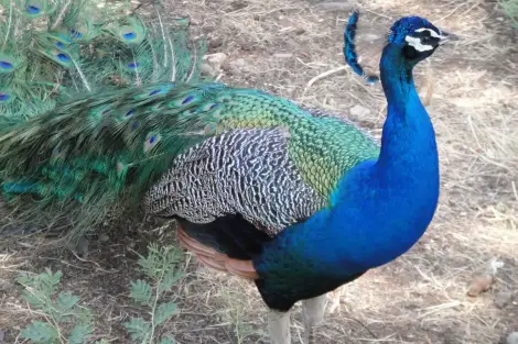 CF Foto Impression 183