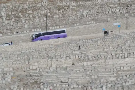 CF Foto Impression 194