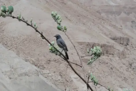 CF Foto Impression 204