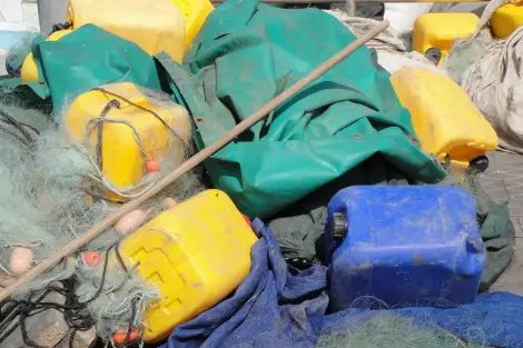 CF Foto Impression 210