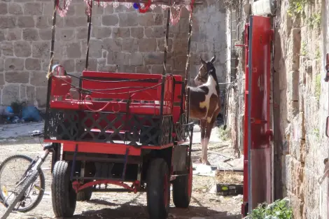 CF Foto Impression 219