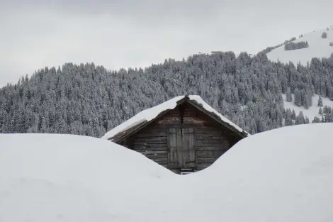 CF Foto Impression 231