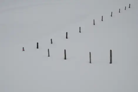 CF Foto Impression 232