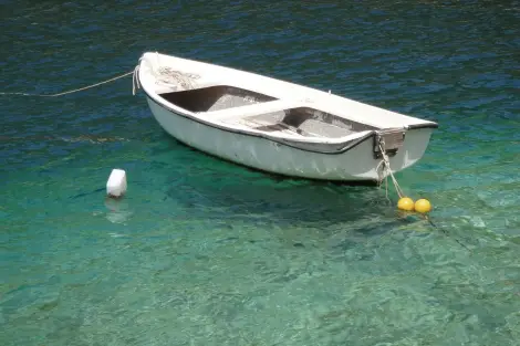 CF Foto Impression 253