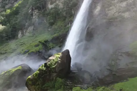 CF Foto Impression 260