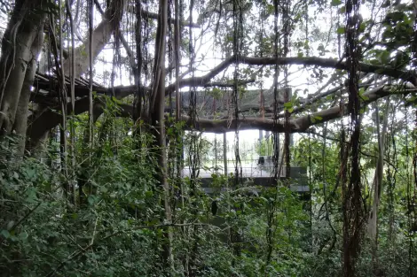 CF Foto Impression 27