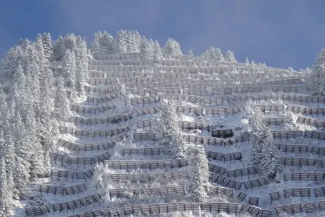 CF Foto Impression 270