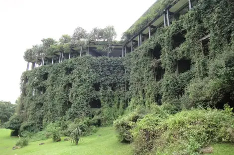 CF Foto Impression 29