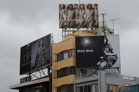 CF Foto Impression 291