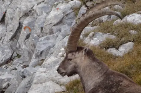 CF Foto Impression 3