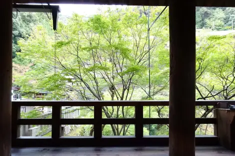 CF Foto Impression 305