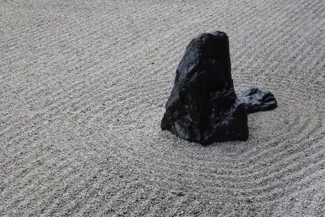 CF Foto Impression 318