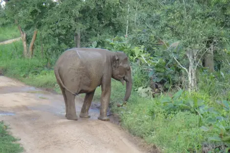 CF Foto Impression 32