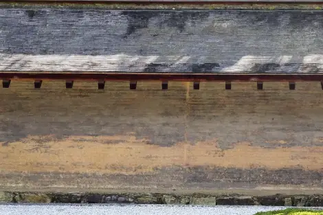 CF Foto Impression 326