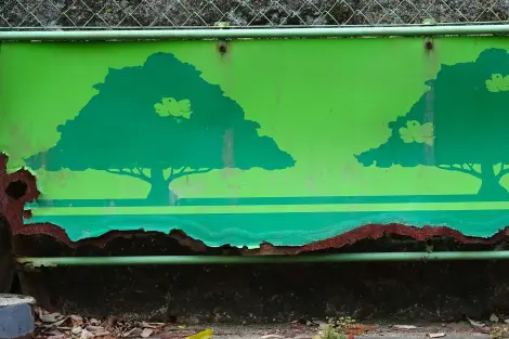 CF Foto Impression 328