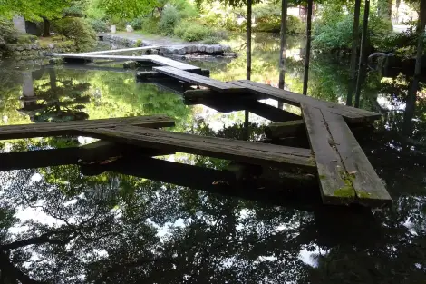 CF Foto Impression 362