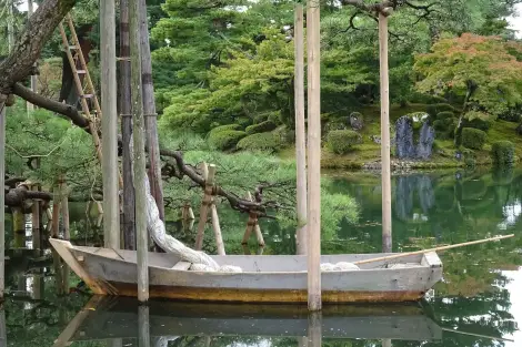 CF Foto Impression 368