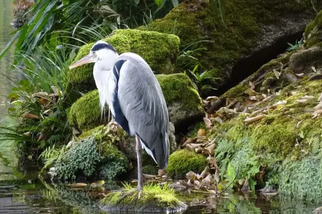 CF Foto Impression 369