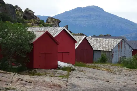 CF Foto Impression 416