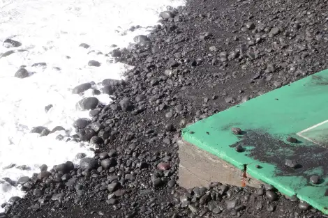 CF Foto Impression 424