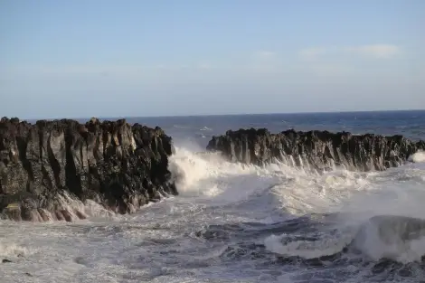 CF Foto Impression 426