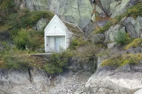 CF Foto Impression 437