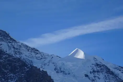 CF Foto Impression 440