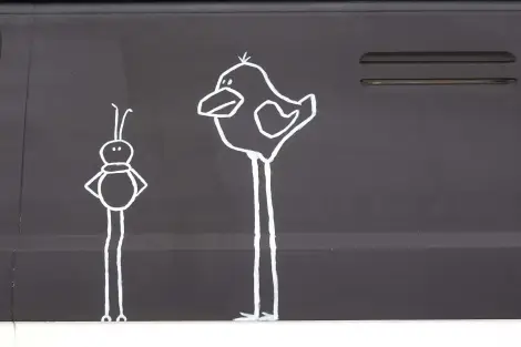 CF Foto Impression 465