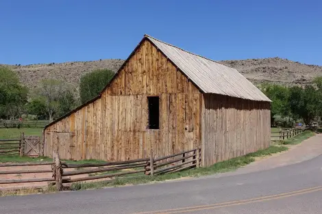 CF Foto Impression 474