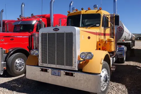 CF Foto Impression 475