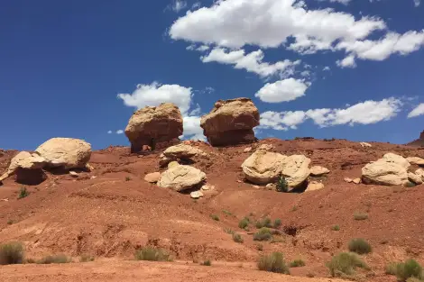 CF Foto Impression 482