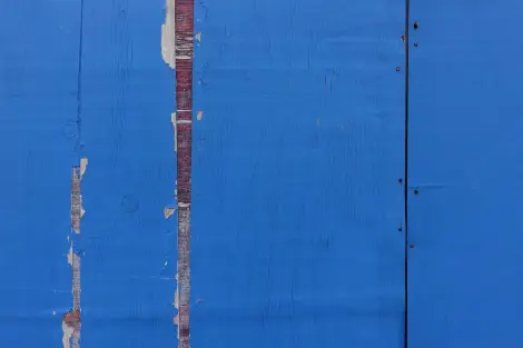 CF Foto Impression 489