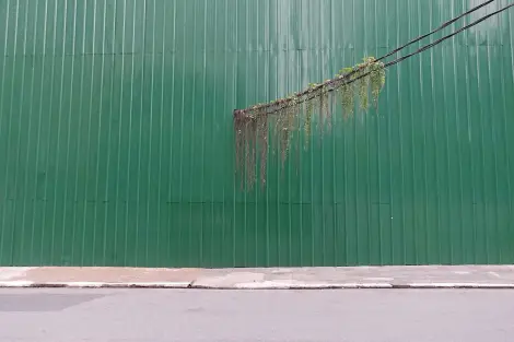 CF Foto Impression 501