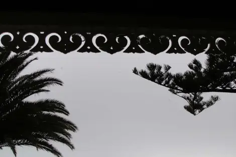 CF Foto Impression 53