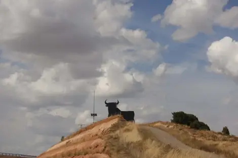 CF Foto Impression 542