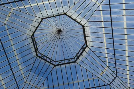 CF Foto Impression 544