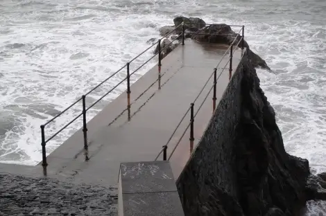 CF Foto Impression 55