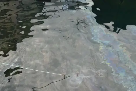 CF Foto Impression 567