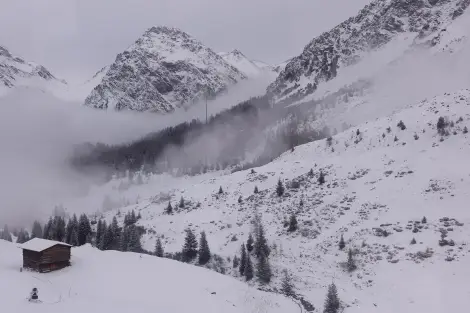 CF Foto Impression 570