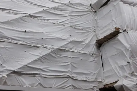 CF Foto Impression 581