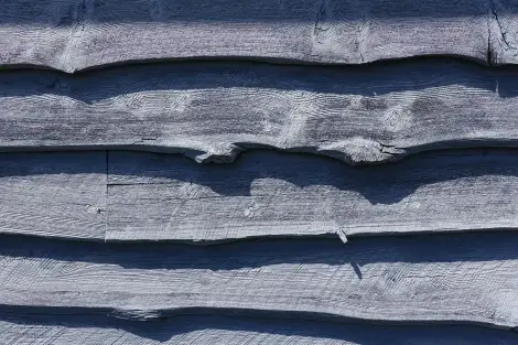 CF Foto Impression 602