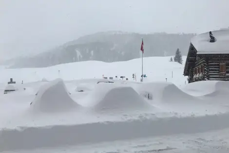 CF Foto Impression 671